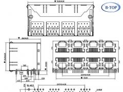 2X4 Dual RJ45 Connector without LEDs